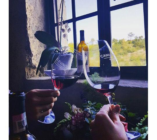 Beneficios del vino tinto para bajar de peso